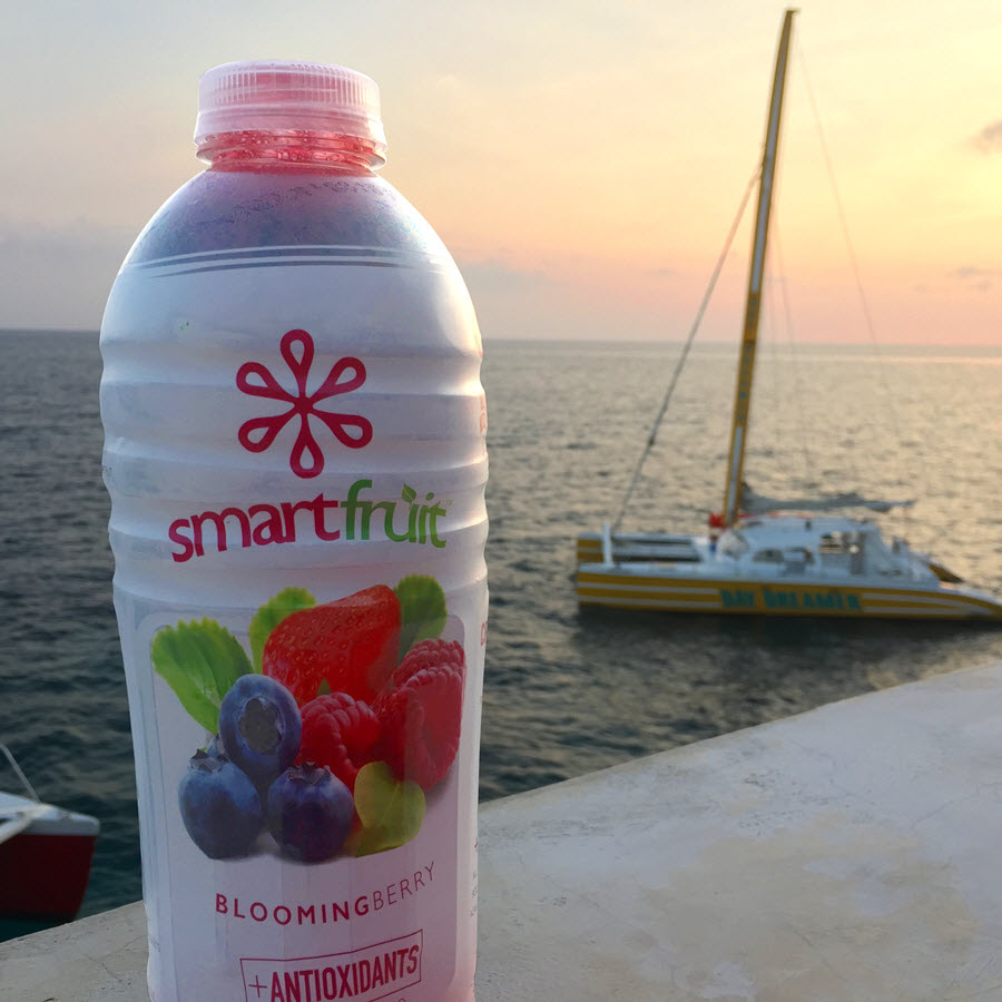 Shelf Stable or Frozen Smoothie Mix?